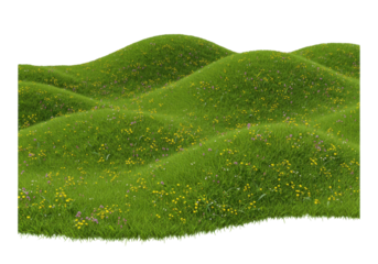 Isolated meadow landscape of rolling hills and green grass with wildflowers, summertime feel