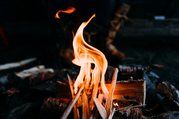 Close-up of a small fire with kindling and wood burning brightly.
