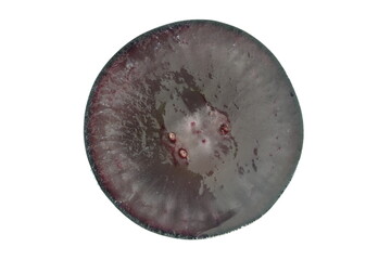 ぶどう　ナガノパープル　長野県産