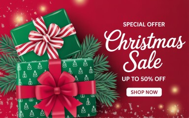 Winter Holiday Big Sale Poster