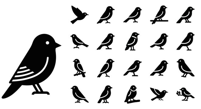 A collection of simple black bird icons depicted in various poses. Set of stylized songbird vector silhouettes for graphic design