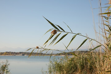 Natural Calmness and Healthy Lifestyle Inspiration