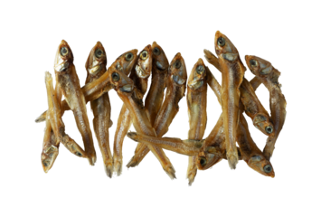 bunch of dried anchovy fish isolated