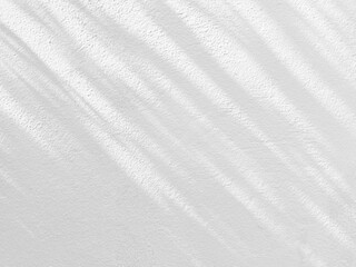 Obraz premium Leaves Shadow on White Peeling Painting on Concrete Wall Texture Background.