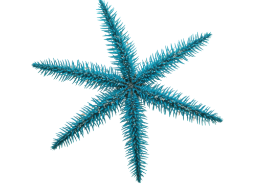 Isolated seven-pointed sea star for Christmas decor, blue festive starfish with spikes on arms