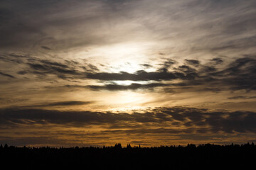 A captivating twilight sky ablaze with golden and deep gray clouds, hinting at a hidden sun. A somber, peaceful horizon of silhouetted trees completes this atmospheric scene