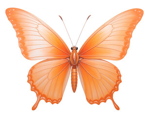 Fototapeta premium 3d illustration of an orange butterfly (2)