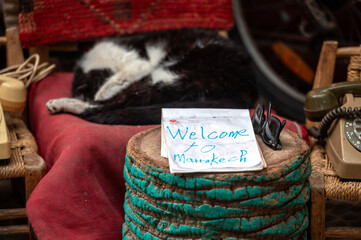 A cozy welcome sign rests on a table while a cat sleeps nearby in Marrakech.