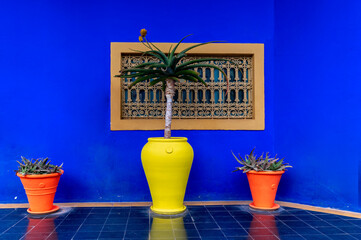 Colorful pots with plants create a striking contrast against the deep blue wall