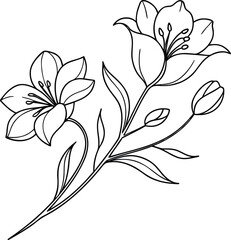 Line Art Lily Bouquet Hand Drawn Floral Arrangement