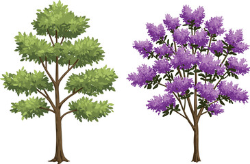 Naklejka premium Green leafy tree, purple flowering tree, nature contrast, botanical scene, vibrant foliage, seasonal bloom, tree structure, outdoor landscape