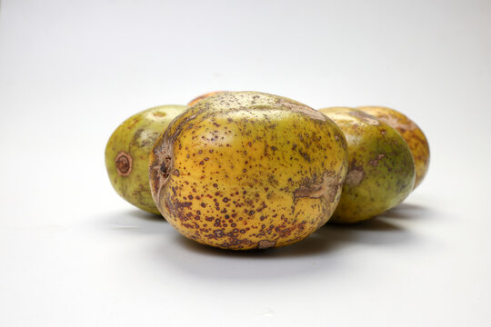 Unique exotic Asian ripe yellow gold green ruit amra kedondong Ambarella on white background
