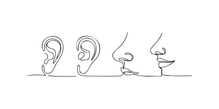 Minimalist continuous line drawing of human ears and noses