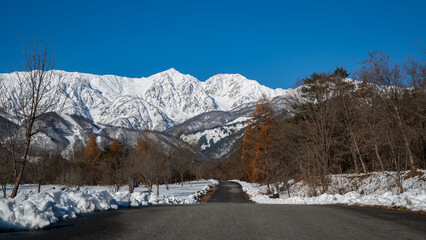 冠雪の北アルプス　山並み　長野県白馬村