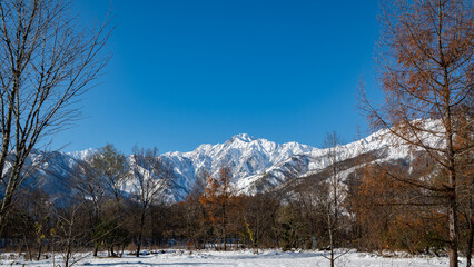 冠雪の北アルプス　山並み　長野県白馬村