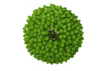 Green deciduous tree top view creating shadow, isolated on transparent background for architectural plan and landscape design