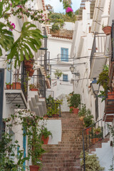 Vertical alleyway in an Andalusian village with brick steps between white houses, hanging vines and terracotta flower pots. 