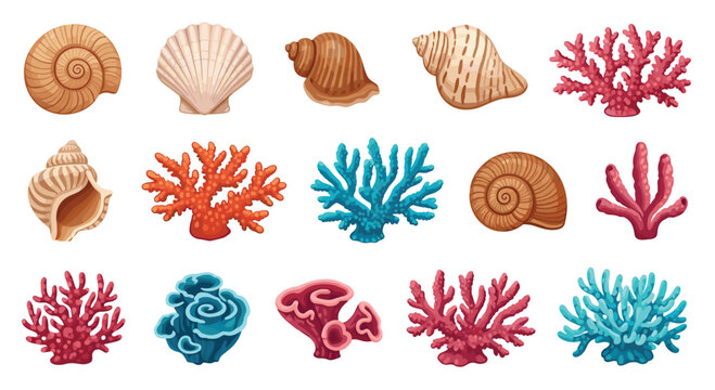 A collection of colorful illustrations featuring various types of seashells and vibrant coral formations from the ocean floor.