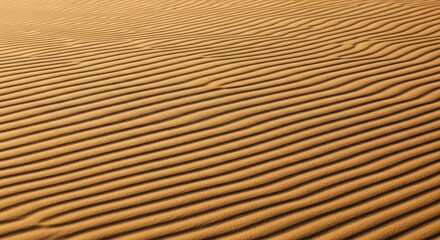 Ripples In The Sand Landscape - A textured sand dune pattern. Symbolizing nature's artistry, time's passage, desert heat, and natural design