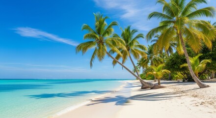 Fototapeta premium Tropical Beach Paradise Scene - Pristine white sand beach meets turquoise water under a bright blue sky with swaying palm trees. Ideal for travel, vacation, and relaxation themes