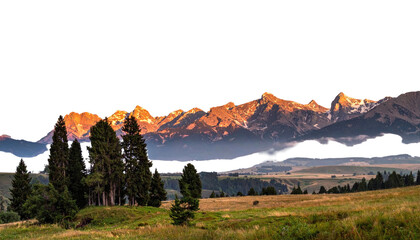Golden sun-touched mountains rise over a meadow and evergreen trees