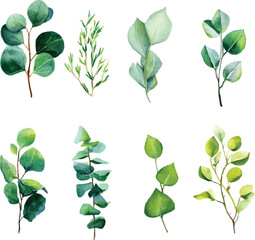 vector set of green leaves