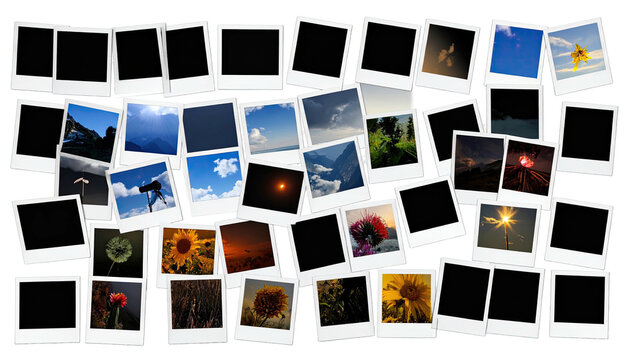 Polaroid-style pics of nature on a black background