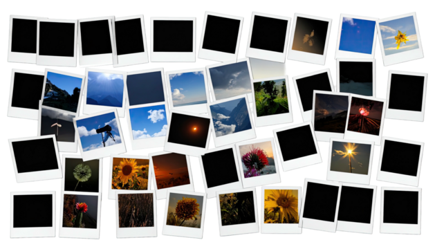 Polaroid-style pics of nature on a black background