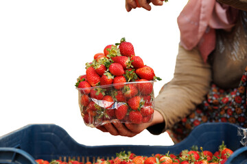 Healthy Eating Concept, Doğal beslenme ve temiz gıda 