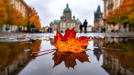 Autumn maple leaf. The leaf lies in a puddle on the road during a rainy day.  Historic buildings and silhouettes of people are reflected in the puddle.