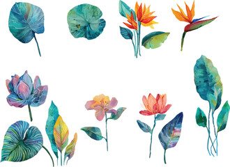 set of watercolor hand drawn flowers