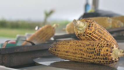 Roasted Corn Sold On The Street