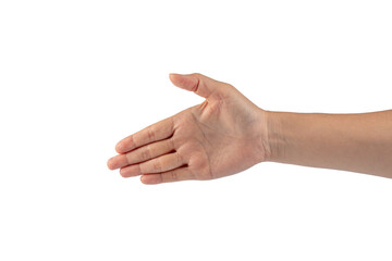 Portrait of hands and fingers in various ways on transparent background