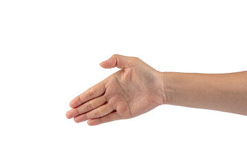 Portrait of hands and fingers in various ways on transparent background