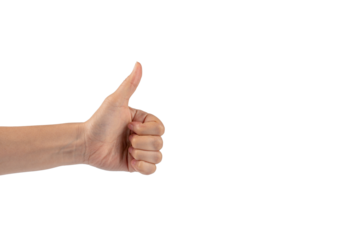 Portrait of hands and fingers in various ways on transparent background