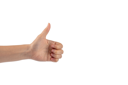 Portrait of hands and fingers in various ways on transparent background