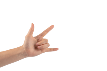 Portrait of hands and fingers in various ways on transparent background