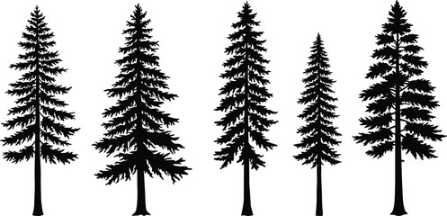 PrintSet of tall pine tree silhouettes, detailed evergreen forest illustration, natural conifer design for landscape, nature, botanical, and environmental artwork