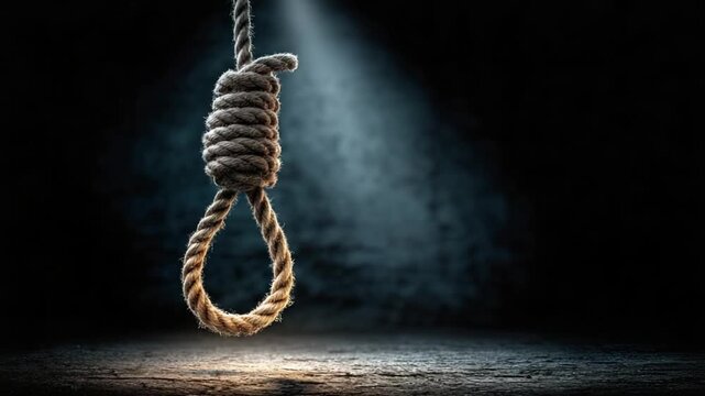 A noose hangs, spotlighted, in a dark room. The rope is textured against a dim backdrop