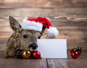 christmas reindeer with blank card and christmas hat for greeting card design