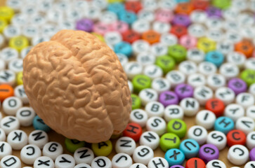 A visual metaphor for learning, communication, and the intricate relationship between our minds and the building blocks of knowledge.