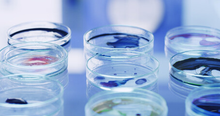 Petri dish, colorful samples and science with research, biology and virus with chemistry. Empty, investigation or test for bacteria cells in laboratory, cure and medical study with results or vaccine