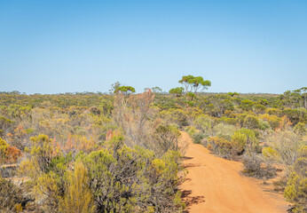 Trail into the Outback in Western Australia, Australia