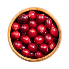 Fresh cranberries, in a wooden bowl. Ripe and intense red colored large cranberries, edible fruits, also known as American cranberry, and bearberry, the North American species Vaccinium macrocarpon.