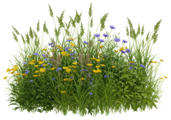 Isolated wildflower patch, lush summer meadow blooms, tall grass plants, scenic herbal groundcover
