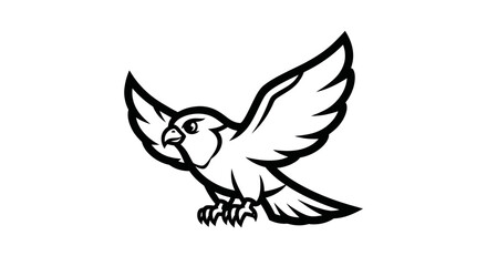 Obraz premium Detailed Line Art of a Hawk in Flight with Spread Wings.