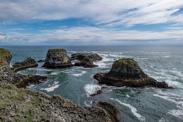 Arnarstapi basalt rocks  in atlantic ocean in Iceland