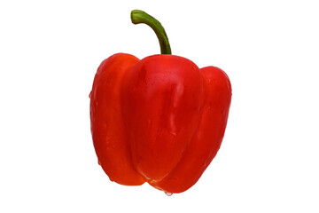 Red bell pepper displaying freshness and vibrant color with water droplets, on transparent background