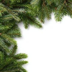 Obraz premium Fir branches border