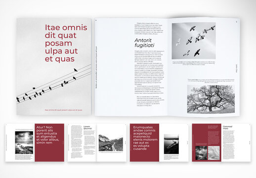Elegant Creative Brochure Layout